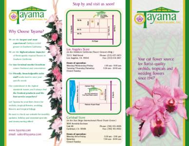 Stop by and visit us soon!  Why Choose Tayama? We are the largest and most experienced Cattleya orchid grower in Southern California.