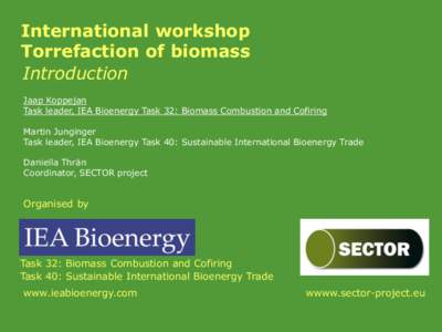 International workshop Torrefaction of biomass Introduction Jaap Koppejan Task leader, IEA Bioenergy Task 32: Biomass Combustion and Cofiring Martin Junginger