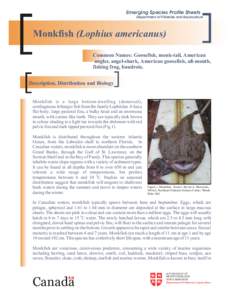 Emerging Species Profile Sheets Department of Fisheries and Aquaculture Monkfish (Lophius americanus) Common Names: Goosefish, monk-tail, American angler, angel-shark, American goosefish, all-mouth,
