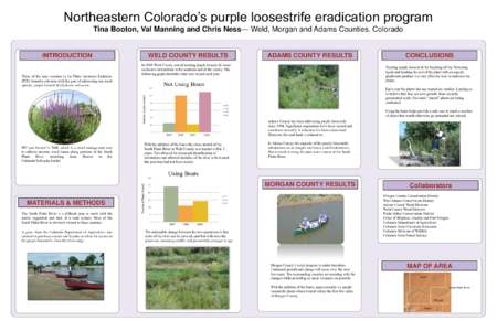 Northeastern Colorado’s purple loosestrife eradication program Tina Booton, Val Manning and Chris Ness— Weld, Morgan and Adams Counties, Colorado INTRODUCTION  CONCLUSIONS