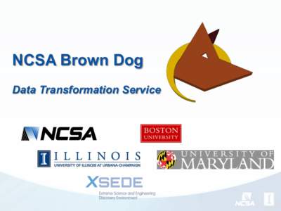 NCSA Brown Dog Data Transformation Service Structural Defects Photos Materials Development