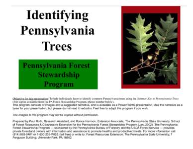Identifying Pennsylvania Trees Pennsylvania Forest Stewardship Program