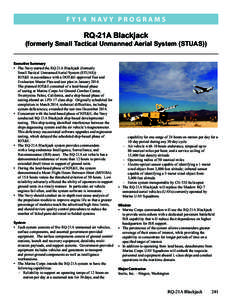 F Y14 N av y P R O G R A M S  RQ-21A Blackjack (formerly Small Tactical Unmanned Aerial System (STUAS)) Executive Summary