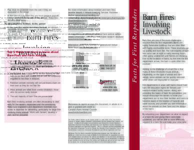 Pigs must be protected from the cold if they are evacuated in the winter. •  In the case of a pig barn fire, you must prepare yourself