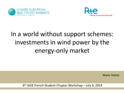In a world without support schemes: investments in wind power by the energy-only market Marie Petitet