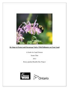 Six Steps to Protect and Encourage Native Wild Pollinators on Your Land A Guide for Land Owners Susan Chan 2012 Rusty-patched Bumble Bee Project