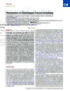 Mechanism of Fibrin(ogen) Forced Unfolding