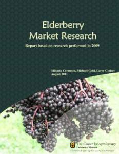 Elderberry Market Research
