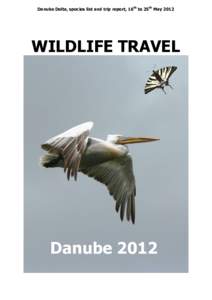 Danube Delta, species list and trip report, 16th to 25th MayWILDLIFE TRAVEL Danube 2012