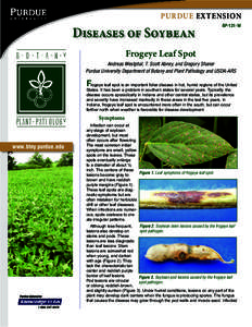 Soybean leaflet with frogeye leaf spot