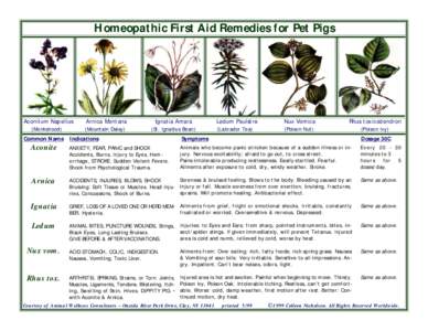 Homeopathic First Aid Remedies for Pet Pigs  Aconitum Napellus (Monkshood) Common Name