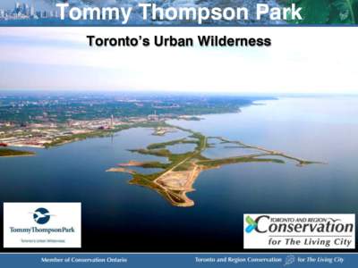 Tommy Thompson Park Toronto’s Urban Wilderness Park History Early Construction • Construction began in 1959 by Toronto Harbour