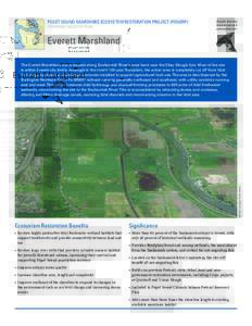 PUGET SOUND NEARSHORE ECOSYSTEM RESTORATION PROJECT (PSNERP) TENTATIVELY SELECTED PLAN Everett Marshland  IMAGE: Google Earth (2010)