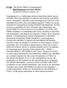 P100  The formin FMNL3 in angiogenesis Mark Richards and Harry Mellor University of Bristol, Bristol, UK