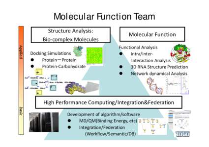Molecular Function Team Structure Analysis: Bio‐complex Bio complex Molecules Molecules