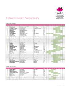 Pollinator Garden Planting Guide Plants & Flowers NATIVE (✔) Common Name  Latin Name