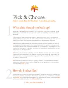 Pick & Choose. Select your data for backup. Any data, all data...  1