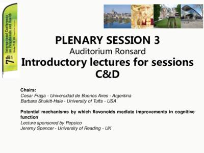 PLENARY SESSION 3 Auditorium Ronsard Introductory lectures for sessions C&D Chairs: