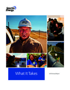 What It Takes[removed]Annual Report What it takes: Premier positioning