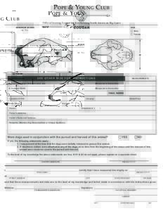 POPE & YOUNG CLUB Official Scoring System for Bowhunting North American Big Game COUGAR  MINIMUM SCORE
