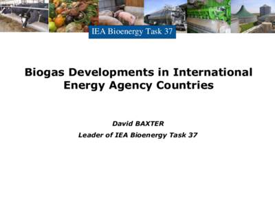 IEA Bioenergy Task 37  Biogas Developments in International Energy Agency Countries  David BAXTER