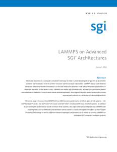 W h i t e  P a p e r LAMMPS on Advanced SGI Architectures