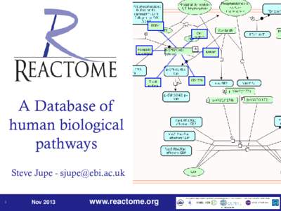 A Database of human biological pathways Steve Jupe - [removed] 1