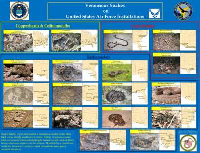 Venomous Snakes on United States Air Force Installations Copperheads & Cottonmouths Copperhead (Agkistrodon contortrix)