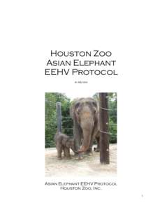 Microsoft Word - Houston Zoo Herpes Protocol.doc