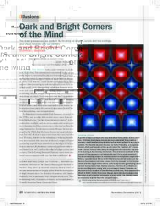 Dark and Bright Corners of the Mind The brain’s resources are limited. By focusing on angles, curves and line endings, your visual neurons can cut corners By Susana Martinez-Conde and