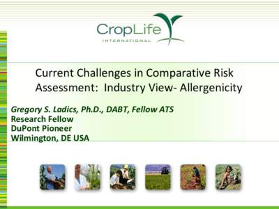 Current Challenges in Comparative Risk Assessment: Industry View- Allergenicity Gregory S. Ladics, Ph.D., DABT, Fellow ATS Research Fellow DuPont Pioneer Wilmington, DE USA