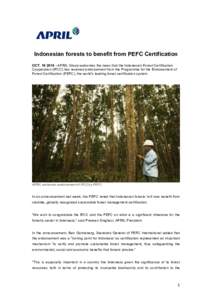   	
      Indonesian forests to benefit from PEFC Certification