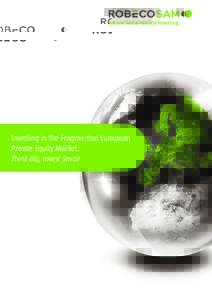 Investing in the Fragmented European Private Equity Market: Think Big, Invest Small TABLE OF CONTENTS
