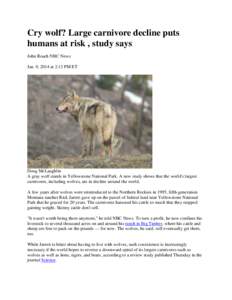 Cry wolf? Large carnivore decline puts humans at risk , study says John Roach NBC News Jan. 9, 2014 at 2:13 PM ET  Doug McLaughlin
