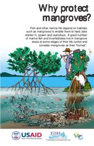Why protect mangroves? Fish and other marine life depend on habitats such as mangroves to enable them to feed, take shelter in, spawn and reproduce. A good number of marine fish and invertebrates live in mangrove