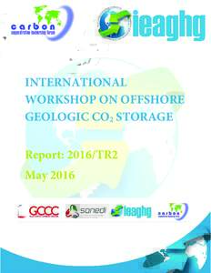 INTERNATIONAL WORKSHOP ON OFFSHORE GEOLOGIC CO2 STORAGE Report: 2016/TR2 May 2016