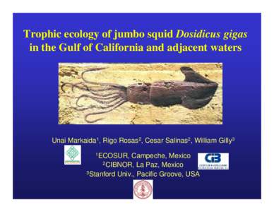 Trophic ecology of jumbo squid Dosidicus gigas in the Gulf of California and adjacent waters Unai Markaida1, Rigo Rosas2, Cesar Salinas2, William Gilly3 1ECOSUR,