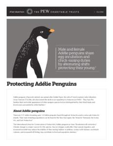 A fact sheet from  Oct 2014 Male and female Adélie penguins share