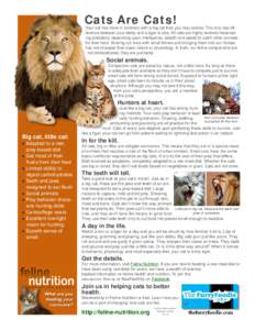 Behavior / Cat / Felines / Carnivore / Predation / Lion / Tiger / Hunting / Big cat / Zoology / Biology / National symbols of Singapore