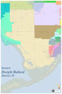 Florida State Senate, Poster Size Maps