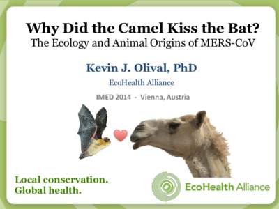 Why Did the Camel Kiss the Bat? The Ecology and Animal Origins of MERS-CoV Kevin J. Olival, PhD EcoHealth Alliance IMED	
  2014	
  	
  -­‐	
  	
  Vienna,	
  Austria