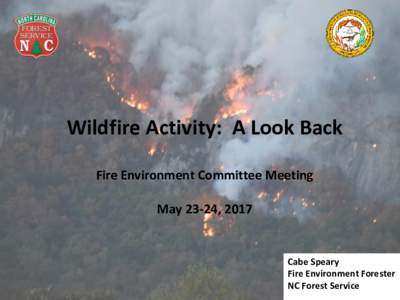 Wildfire Activity: A Look Back Fire Environment Committee Meeting May 23-24, 2017 Cabe Speary Fire Environment Forester