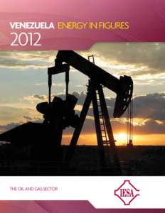 VENEZUELA ENERGY IN FIGURES[removed]THE OIL AND GAS SECTOR