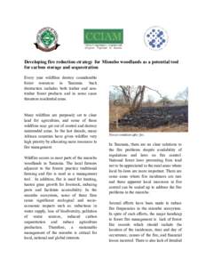 Developing fire reduction strategy for Miombo woodlands as a potential tool for carbon storage and sequestration Every year wildfires destroy considerable forest resources in Tanzania. Such destruction includes both timb