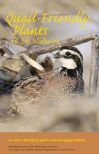 Quail-Friendly Plants of the Midwest an aid to identifying plants and managing habitats Published by University of Missouri Extension