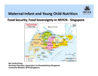 Nutrition / Health / Infant feeding / World Health Organization / Baby Friendly Hospital Initiative / Infant formula / Infant / Singapore / Micronutrient / Breastfeeding / Human development / Childhood