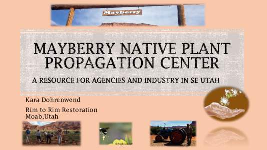MAYBERRY NATIVE PLANT PROPAGATION CENTER a resource for agencies and industry IN SE Utah
