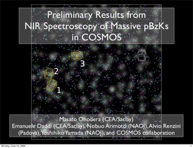 Preliminary Results from NIR Spectroscopy of Massive pBzKs in COSMOS Masato Onodera (CEA/Saclay) Emanuele Daddi (CEA/Saclay), Nobuo Arimoto (NAOJ), Alvio Renzini