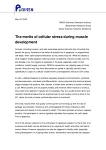 May 23, 2005 RIKEN Discovery Research Institute Bioarchitect Research Group Senior Scientist: Nobuhiro Morishima  The merits of cellular stress during muscle