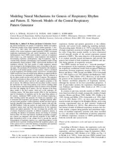 Modeling Neural Mechanisms for Genesis of Respiratory Rhythm and Pattern. II. Network Models of the Central Respiratory Pattern Generator ILYA A. RYBAK, JULIAN F. R. PATON, AND JAMES S. SCHWABER Central Research Departme
